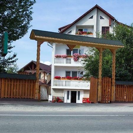 Pensiunea Aurica Tîrgu Lăpuş Exterior foto