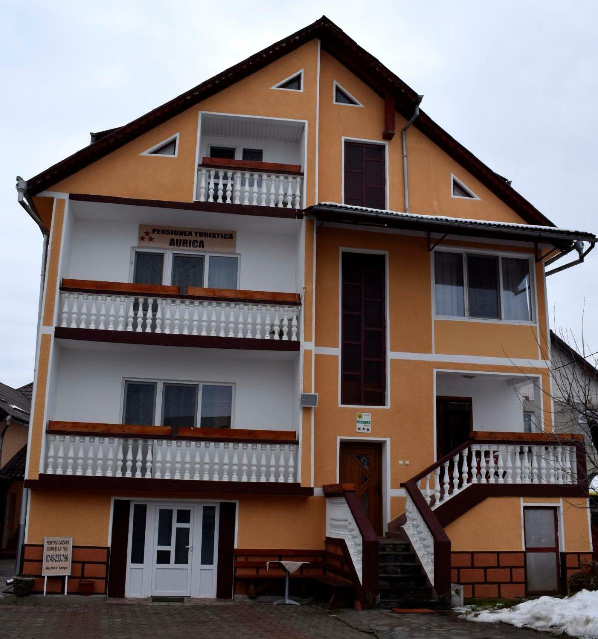 Pensiunea Aurica Tîrgu Lăpuş Exterior foto