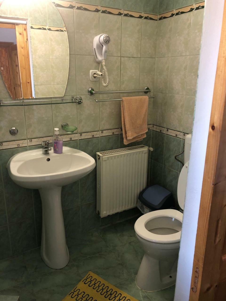 Pensiunea Aurica Tîrgu Lăpuş Exterior foto